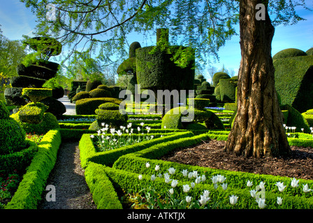 Topiaria da nel grado 1 elencati giardino di Levens Hall, Cumbria Regno Unito Foto Stock