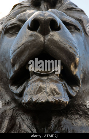 Leone di Bronzo scultura da Edwin Landseer in Trafalgar Square, Londra Inghilterra REGNO UNITO Foto Stock