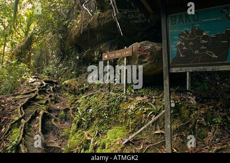 Sentiero natura Bako National Park Sarawak Borneo Malaysia Foto Stock