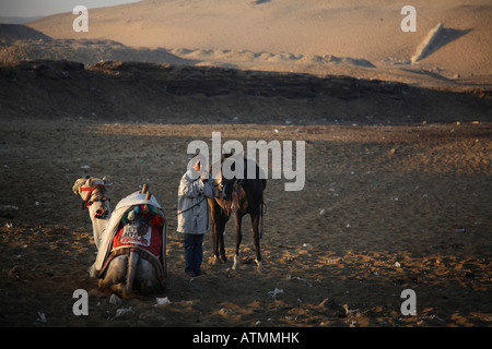 A dorso di cammello è un grande affare intorno alle Piramidi di Giza, Cairo. Foto Stock