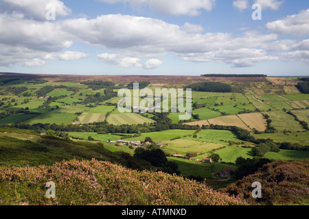 Heather moorland su Rosedale Moor con vista sul verde dei campi in Esk Dale in North York Moors National Park nello Yorkshire England Regno Unito Foto Stock