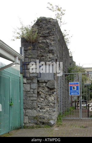 Parete sud delle mura Irishtown Limerick City Co Limerick www osheaphotography com Foto Stock