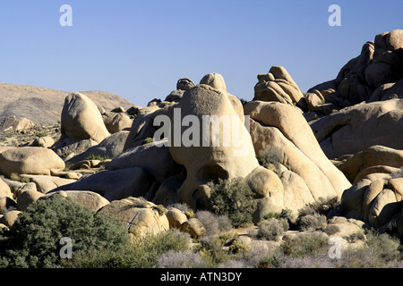 Parco nazionale di Joshua Tree Foto Stock