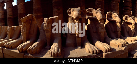 Complesso del Tempio di Karnak Egypt Avenue of RAM-headed Sphinxes la RAM Simbolo del Dio egiziano Amun che protegge le Effigies reali di Rameses II nel fo Foto Stock