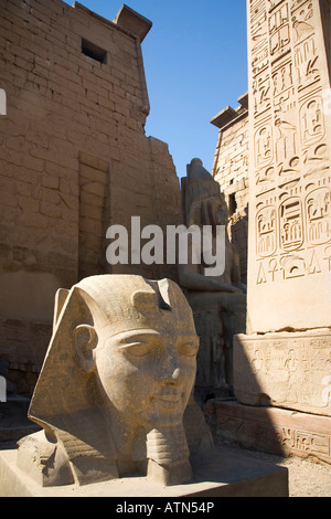 Statua di Ramses Ramses Ramesse II e pilone del Tempio di Luxor in Egitto il Nord Africa Foto Stock