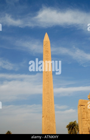 Obelisco della Regina Hatshepsut al Tempio di Karnak Luxor Egitto Foto Stock