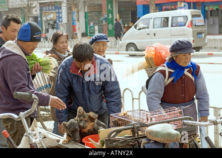 Cina, cani per vendita, Lijiang, nella provincia dello Yunnan Foto Stock