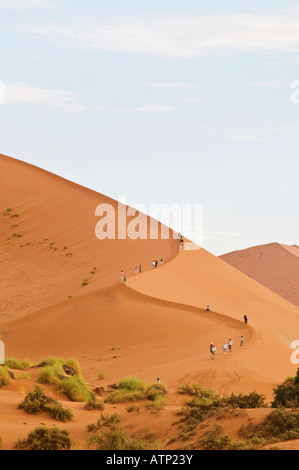 Le Dune Sousouvlei in Namibia in Africa Foto Stock