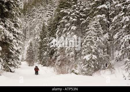 Le persone con le racchette da neve nel paese indietro durante una tempesta di neve in montagna al Millcreek Canyon Wasatch Mountains USA Utah Foto Stock
