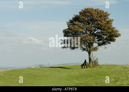 Una donna in appoggio su una panchina sotto un albero a Cissbury Ring Findon vicino a Worthing Hazey giorno Foto Stock