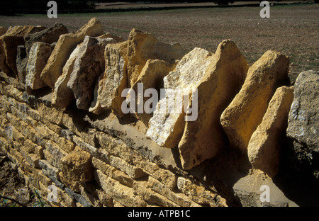 Pietre di coping sulla sommità throughband pietre di seguito su un tradizionale in pietra a secco nella parete i cotswolds da pietre locali, Foto Stock