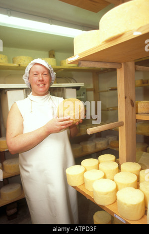 Karen Hindle rendendo tradizionale piccola Herefordshire del formaggio nella camera di deposito come esse maturano sui piani di appoggio Foto Stock