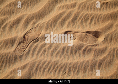 Orme nel deserto - Dubai Foto Stock