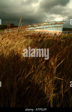 Relitto di vecchia barca da pesca in legno wellspring in canne con cielo tempestoso sopra. Rive del fiume Dee, Kirkcudbright, Dumfries e Galloway, Scozia Foto Stock