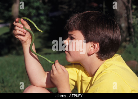 Ragazzo giovane esaminando una ruvida Green Snake Floyd County Indiana Foto Stock