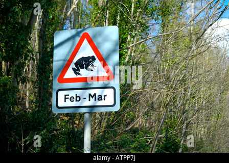 Avviso di firmare gli automobilisti a diffidare delle rane e rospi che attraversa la strada in febbraio e marzo, vicino a Grange-over-Sands, Cumbria Regno Unito Foto Stock