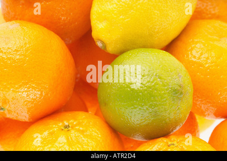 Arance Clementine Limette e limoni Foto Stock