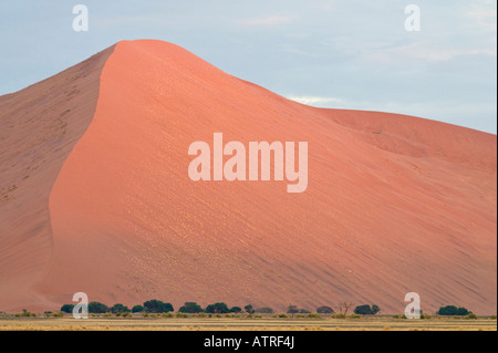 Le Dune Sousouvlei in Namibia in Africa Foto Stock