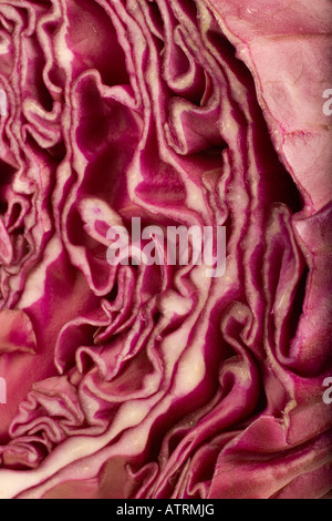 Una testa di cavolo rosso tagliate a metà Foto Stock