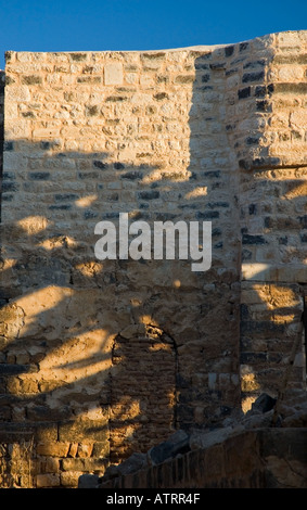 Le ombre della noria, antica waterwheels, cadono in cotto antico aquaduct, Hama, Siria, Medio Oriente. DSC 5998 Foto Stock