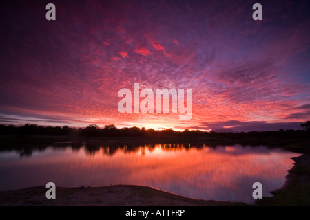 Un tramonto spettacolare sul Parco Nazionale Kruger del Sud Africa Foto Stock