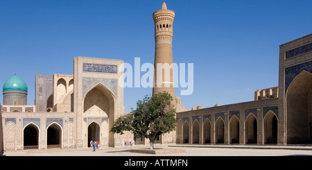 Kalyan Moschea e minareto di Bukhara Uzbekistan Foto Stock