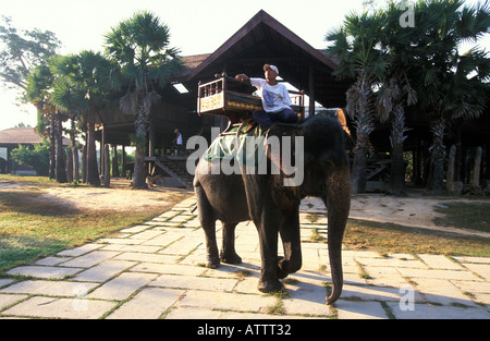 Angkor elephant è afflitto fino a prendere i turisti per i templi Foto Stock