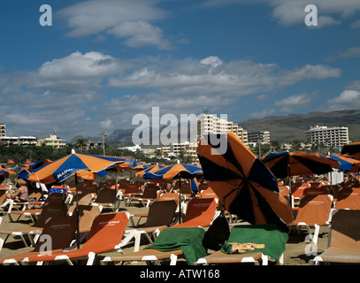 PLAYA DEL INGLES GRAN CANARIA ISOLE CANARIE Febbraio pittoresca spiaggia ombrelloni su questa spiaggia molto popolare Foto Stock