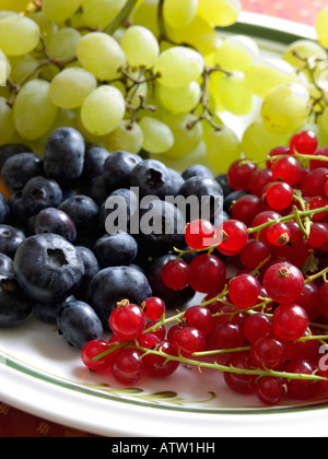 Mirtillo (Vaccinium corymbosum), ribes rosso (ribes rubrum) e vite di uva (Vitis vinifera) Foto Stock