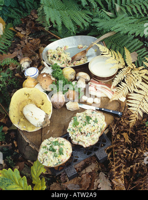 Farcite Ceps Boletus edulis Foto Stock