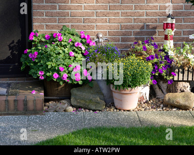 Buzy lizzie (Impatiens Walleriana), lobelias (lobelia), nelle petunie (petunia) e crisantemi (crisantemo) Foto Stock