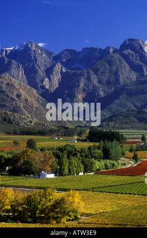 Vigneti e fattorie in Hex River Valley vicino a Franschhoek Western Cape Sud Africa Foto Stock