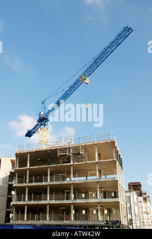 Gru a torre sul sito in costruzione nel centro della città di Sheffield South Yorkshire Inghilterra Foto Stock