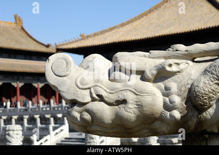Testa di drago utilizzata come acqua di beccucci, Città Proibita di Pechino, Cina. 03-Mar-2008 Foto Stock