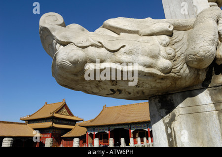 Testa di drago utilizzata come acqua di beccucci, Città Proibita di Pechino, Cina. 03-Mar-2008 Foto Stock