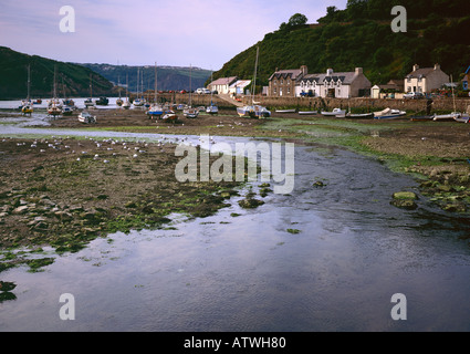 Fishguard Harbour in Galles prese a bassa marea su 4x5 di grandi film in formato Foto Stock