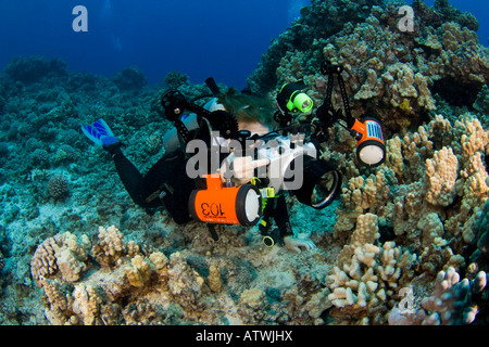 Un subacqueo linee fino su una scogliera con la sua reflex digitale fotocamera ancora in un alloggiamento subacqueo con impulsi stroboscopici, Costa di Kona, Hawaii. Foto Stock