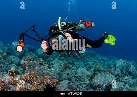 Un subacqueo linee fino su una scogliera con la sua fotocamera digitale reflex in un alloggiamento subacqueo con Doppi lampeggiatori stroboscopici, Costa di Kona, Hawaii. Foto Stock