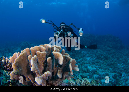 Fotografo James Watt linee fino su una scogliera con la sua macchina fotografica in un alloggiamento subacqueo con Ikelite, Costa di Kona, Hawaii. Foto Stock