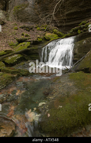 Versamento a cascata dalla bocca della Grotta Grotta Alexander Tennessee Foto Stock