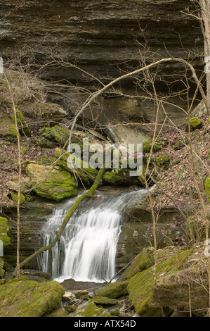 Versamento a cascata dalla bocca della Grotta Grotta Alexander Tennessee Foto Stock