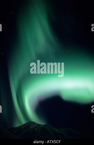 Stati Uniti d'America ALASKA Aurora Boreale Northern Lights Talkeetna montagne vicino Hatcher Pass Foto Stock