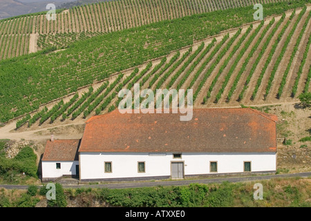 Valle del Douro in Portogallo Foto Stock