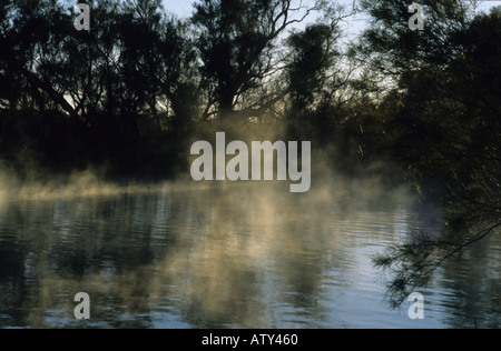 Il South Australia Dalhousie fumanti sorgenti calde Foto Stock