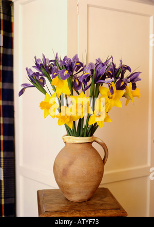 Daffodils and irises in a terracotta jug Foto Stock