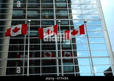 Tre bandiere canadesi battenti nella parte anteriore di un grattacielo in vetro edificio per uffici, scintille San Ottawa, Canada Foto Stock