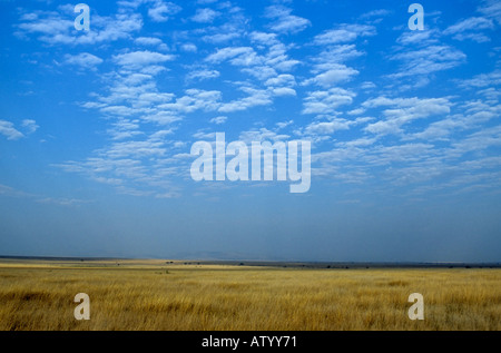 Pianura erbosa, Serengeti National Park, Tanzania Foto Stock