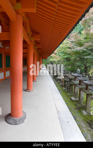 Contrasta- Il Santuario Kasuga Nara Giappone 2 Foto Stock