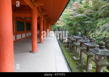 Contrasta- Il Santuario Kasuga Nara Giappone Foto Stock