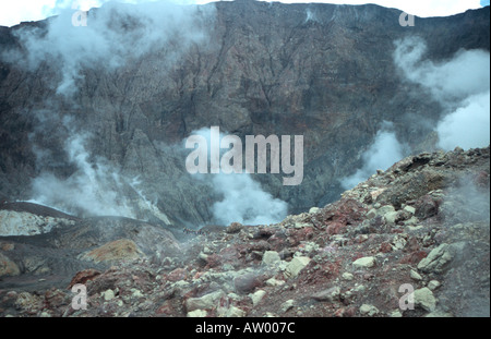 Isola Bianca attivo un vulcano Marino Isola del nord della Nuova Zelanda Foto Stock